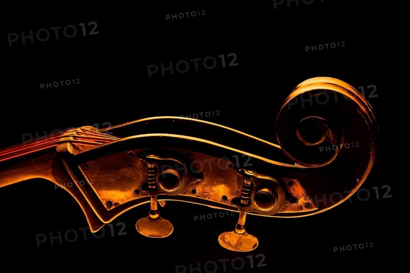Musical instrument, contrabass