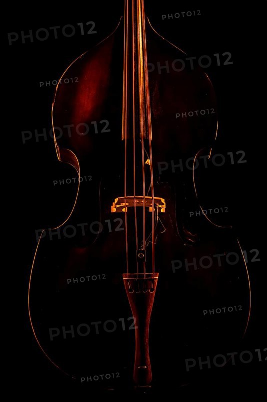 Musical instrument, contrabass