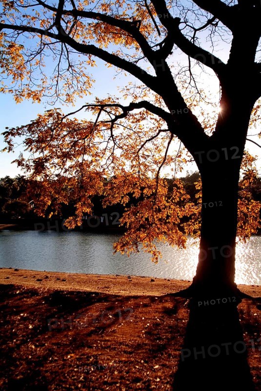 Pampulha Lake, Belo Horizonte, Minas Gerais, Brazil