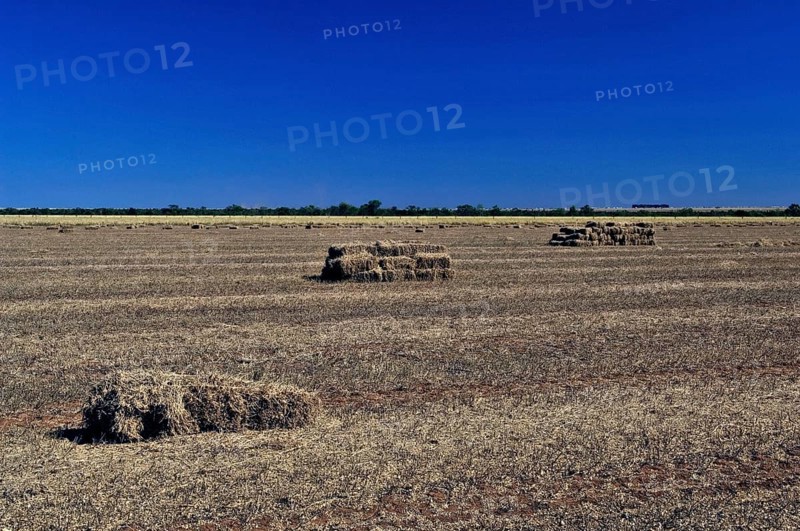Straw of Soy field, Luiz Eduardo Magalhães, Bahia, Brazil