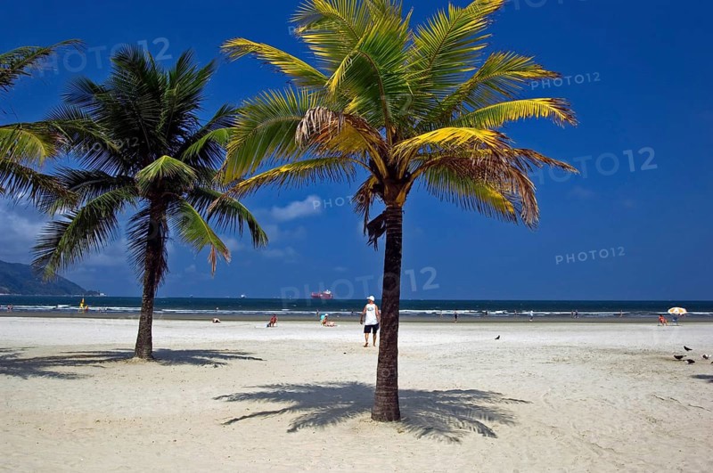 Beach of the Baia do Sancho, Santos, São Paulo, Brazil