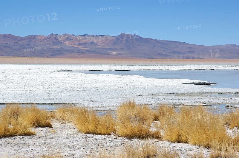 Estacion termale - Reserva nacional de fauna andina Eduardo Abaroa - Deserto do Lipez - Departamento de Potosi - Provincia Sud Lipez - Bolivia ATENÇÃO: NÃO PODEMOS REPRESENTAR ESSA IMAGEM FORA DA AMERICA LATINA