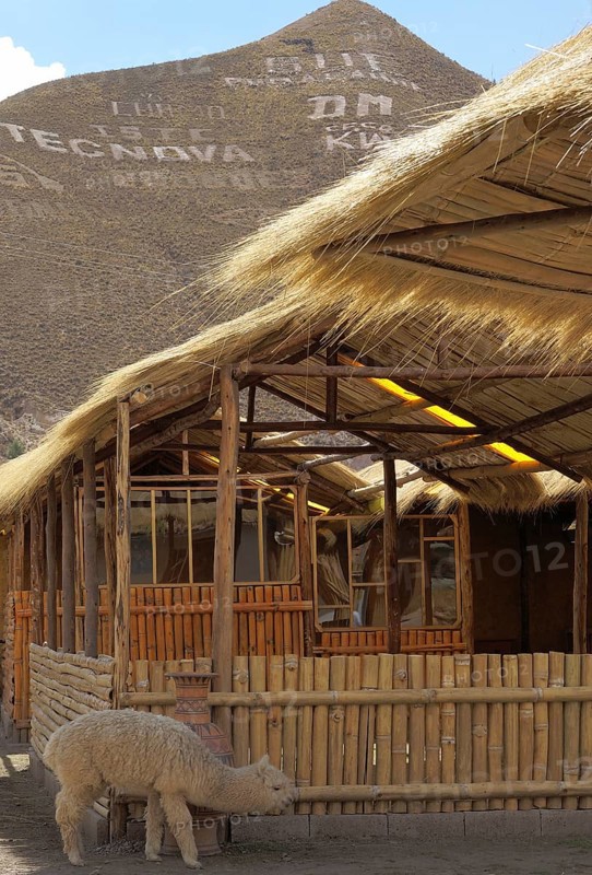 Sicuani, Worth Sacred of Los Incas, Region of Cusco, Lima, Peru