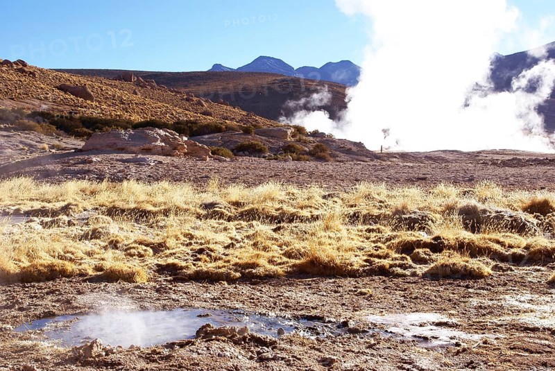 Geysers El Tatio, Atacama Desert, Region of Antofagasta, Santiago, Chile