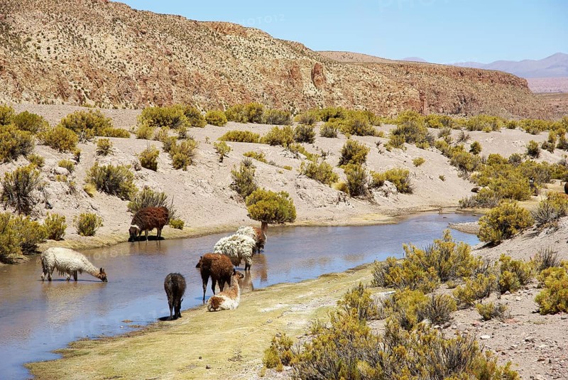 Desert of Lipez, Department of Potosi, Sud Lipez Province, La Paz, Bolívia
