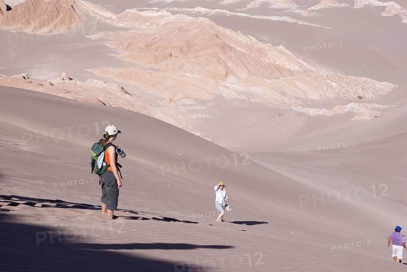 Worth of La Muerte, Los Flamencos Reserve National, Atacama Desert, Region of Antofagasta, Santiago, Chile