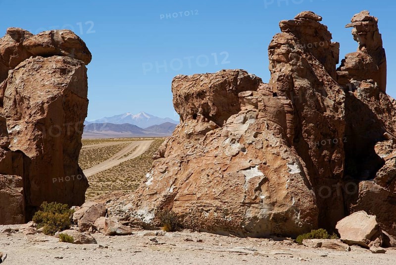 Rock Forest, Desert of Lipez, Department of Potosi, Sud Lipez Province, La Paz, Bolívia