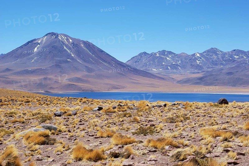 Laguna Miscanti - Reserva Nacional Los Flamencos - Deserto do Atacama - Região de Antofagasta - Chile ATENÇÃO: NÃO PODEMOS REPRESENTAR ESSA IMAGEM FORA DA AMERICA LATINA