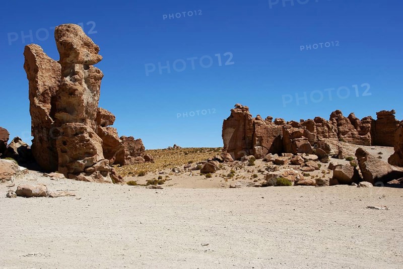 Rock Forest, Desert of Lipez, Department of Potosi, Sud Lipez Province, La Paz, Bolívia