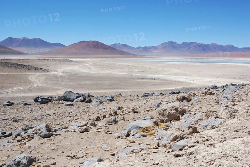 Laguna Blanca, Desert of Lipez, Department of Potosi, Sud Lipez Province, La Paz, Bolívia