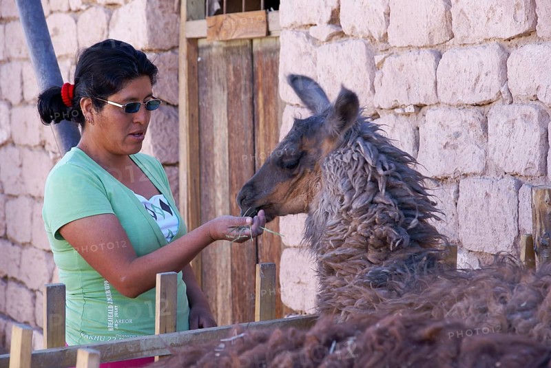 Toconao, Atacama Desert, Region of Antofagasta, Santiago, Chile