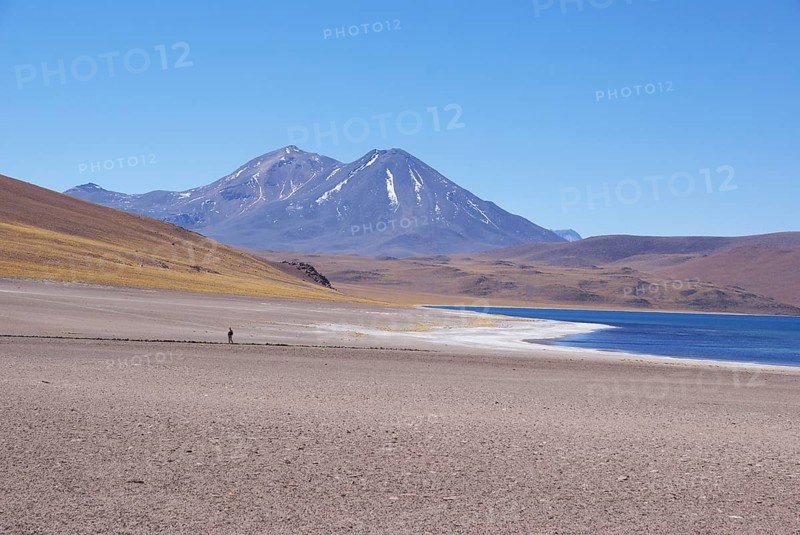 Laguna Miscanti, Los Flamencos Reserve National, Atacama Desert, Region de Antofagasta, Santiago, Chile
