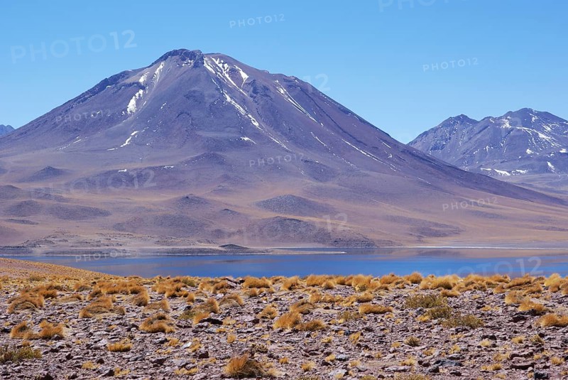 Laguna Miscanti, Los Flamencos Reserve National, Atacama Desert, Region of Antofagasta, Santiago, Chile