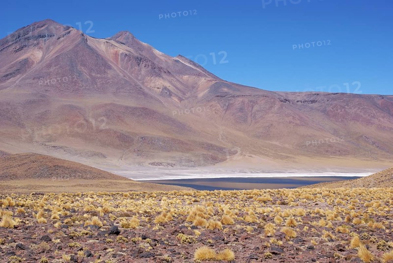 Laguna Miñiques, Los Flamencos Reserve National, Atacama Desert, Region of Antofagasta, Santiago, Chile