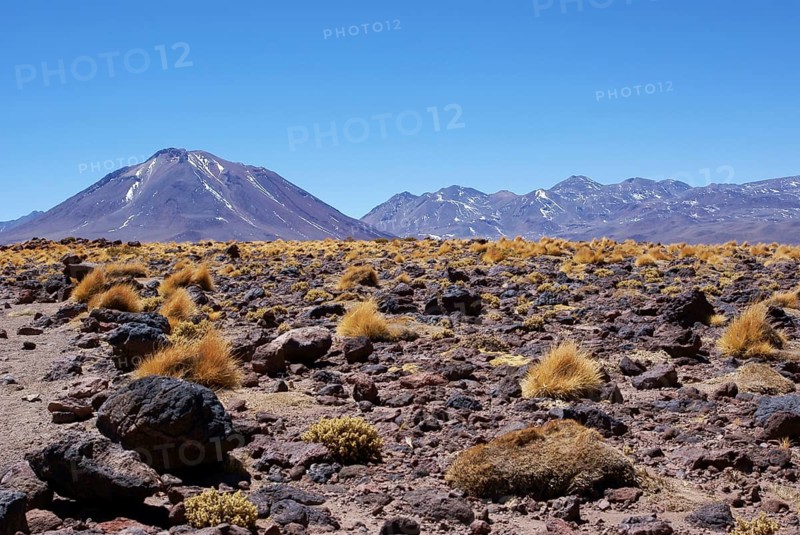 Sector Lagunas Miscanti y Miñiques, Los Flamencos Reserve National, Atacama Desert, Region de Antofagasta, Santiago, Chile