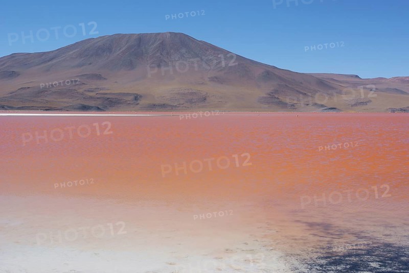 Laguna Colorada, Reserves national of Andean fauna Eduardo Abaroa, Desert of Lipez, Department of Potosi, Sud Lipez Province, La Paz, Bolívia
