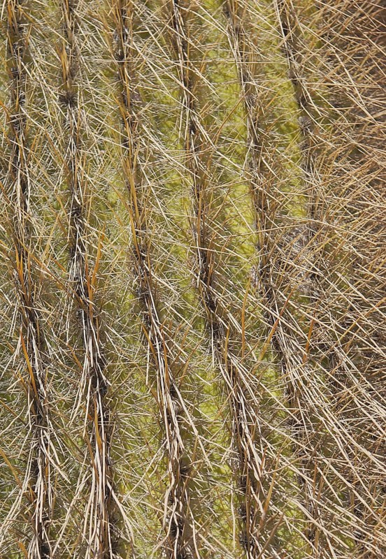 Salar of Uyuni, Desert of Lipez, Department of Potosi, Sud Lipez Province, La Paz, Bolívia