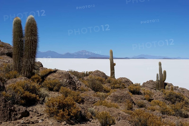 Salar of Uyuni, Desert of Lipez, Department of Potosi, Sud Lipez Province, La Paz, Bolívia