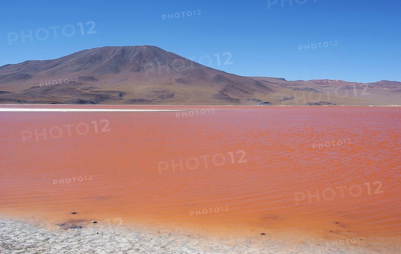 Laguna Colorada, Reserves national of Andean fauna Eduardo Abaroa, Desert of Lipez, Department of Potosi, Sud Lipez Province, La Paz, Bolívia