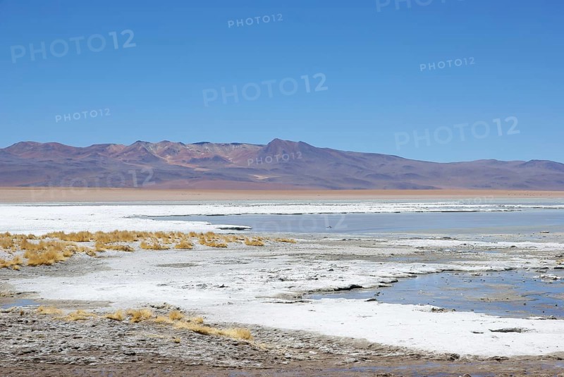 Estacion termale, Reserva nacional de fauna andina Eduardo Abaroa, Deserto do Lipez, Departamento de Potosi, Sud Lipez Province, La Paz, Bolívia