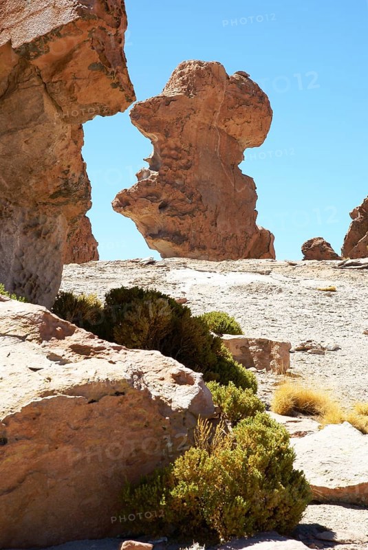Rock Forest, Desert of Lipez, Department of Potosi, Sud Lipez Province, La Paz, Bolívia