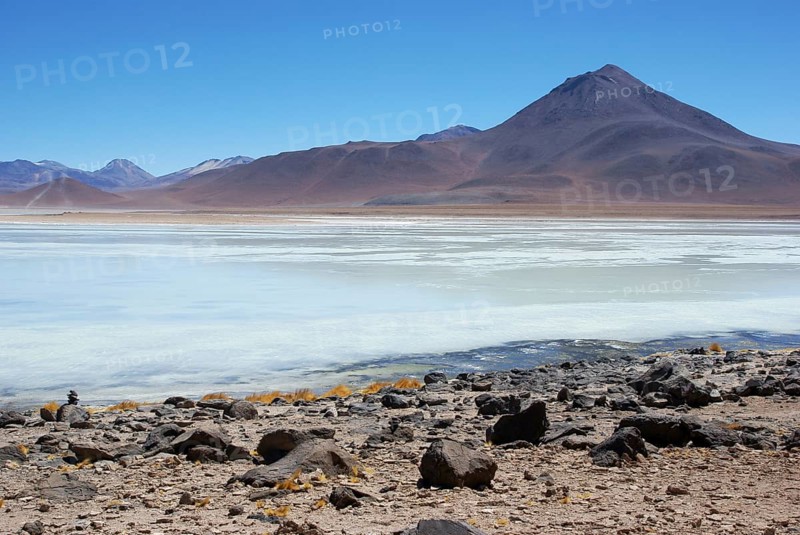 Laguna Blanca, Reserves national of Andean fauna Eduardo Abaroa, Desert of Lipez, Department of Potosi, Sud Lipez Province, La Paz, Bolívia