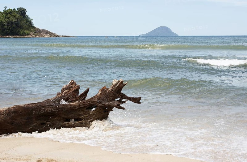Beach, Trunk, Barra do Una, Peruíbe, São Paulo, Brazil