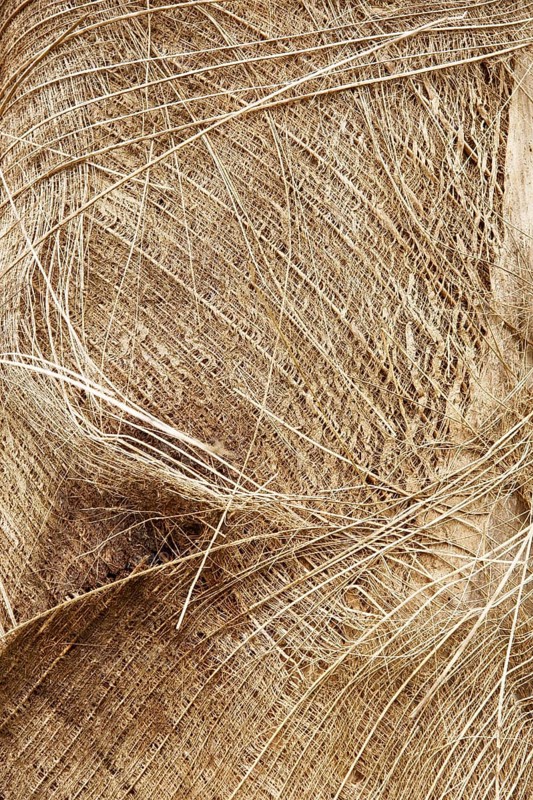 Straw, Barra do Una, Peruíbe, São Paulo, Brazil
