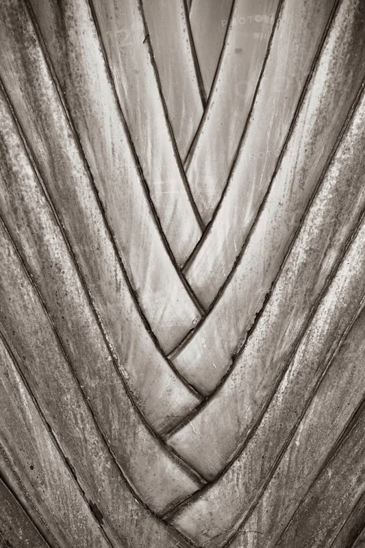 Plant, Texture, Barra do Una, Peruíbe, São Paulo, Brazil