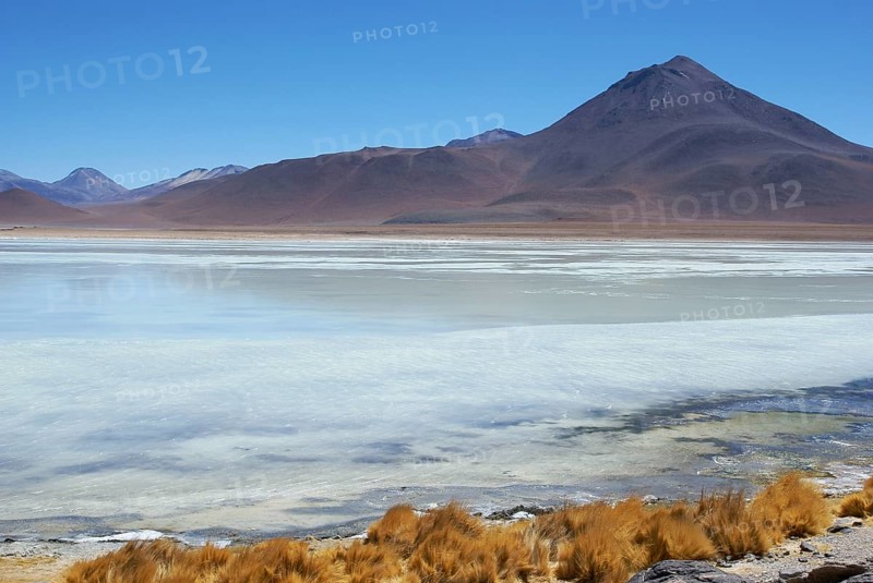 Laguna Blanca, Reserves national of Andean fauna Eduardo Abaroa, Desert of Lipez, Department of Potosi, Sud Lipez Province, La Paz, Bolívia