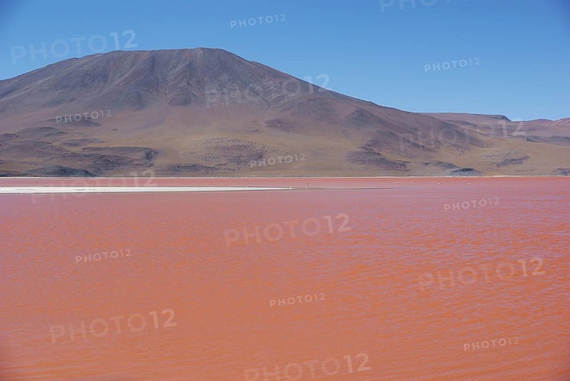 Laguna Colorada, Reserves national of Andean fauna Eduardo Abaroa, Desert of Lipez, Department of Potosi, Sud Lipez Province, La Paz, Bolívia