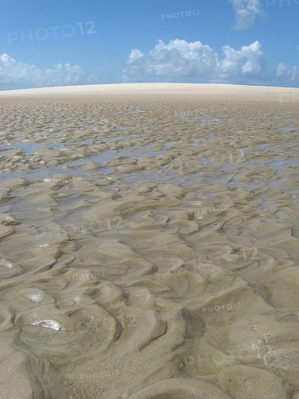 Beach, Dunes, São Paulo Hill, Salvador, Bahia, Brazil