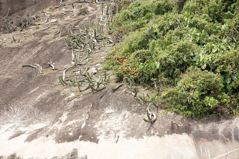 Stone, Texture, Ilha Grande, Rio de Janeiro, Brazil