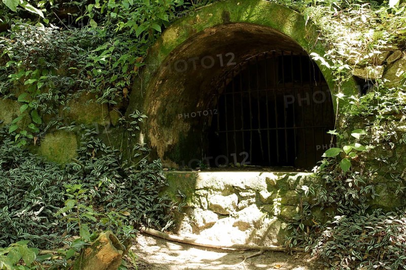 Tunnel, Nature, Ilha Grande, Rio de Janeiro, Brazil