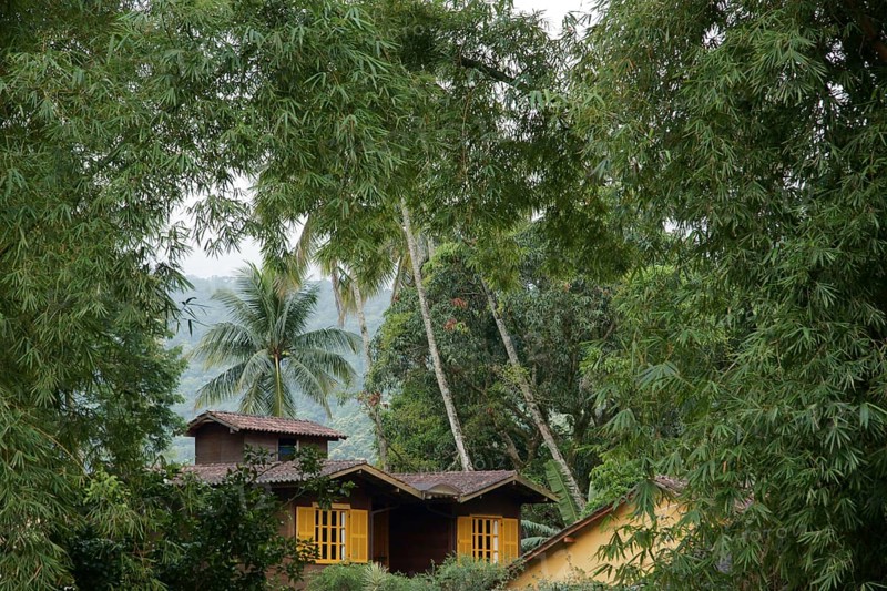 House, Nature, Ilha Grande, Rio de Janeiro, Brazil