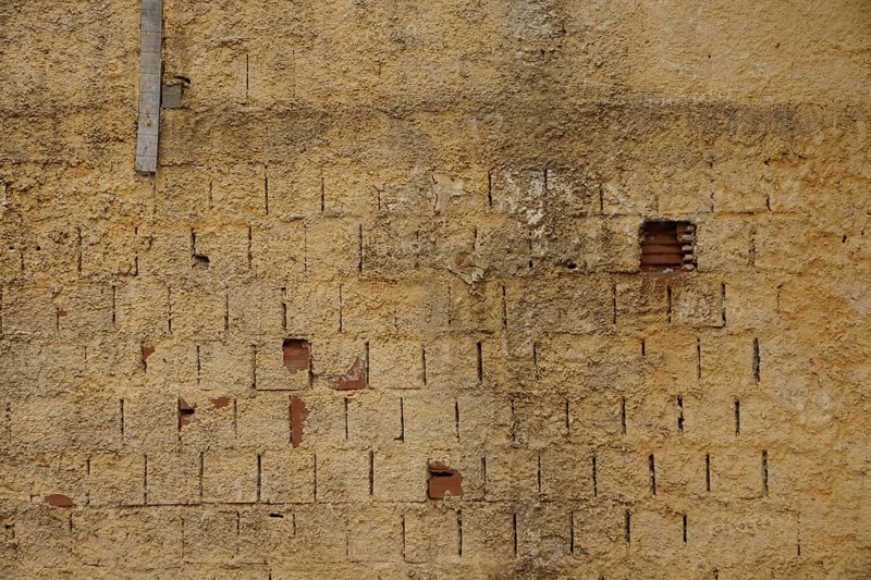 Wall, Ilha Grande, Rio de Janeiro, Brazil