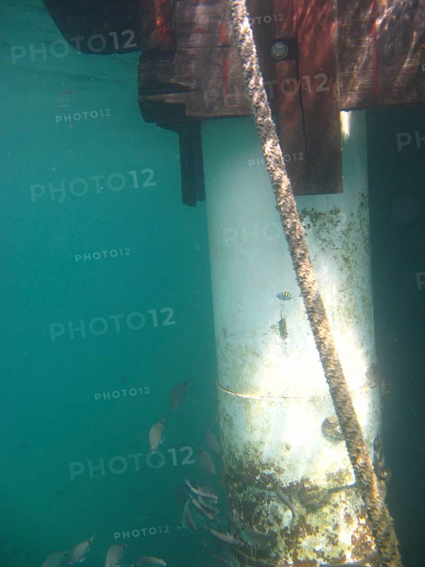 Underwater pictures, Shipwreck, Ilha Grande, Rio de Janeiro, Brazil