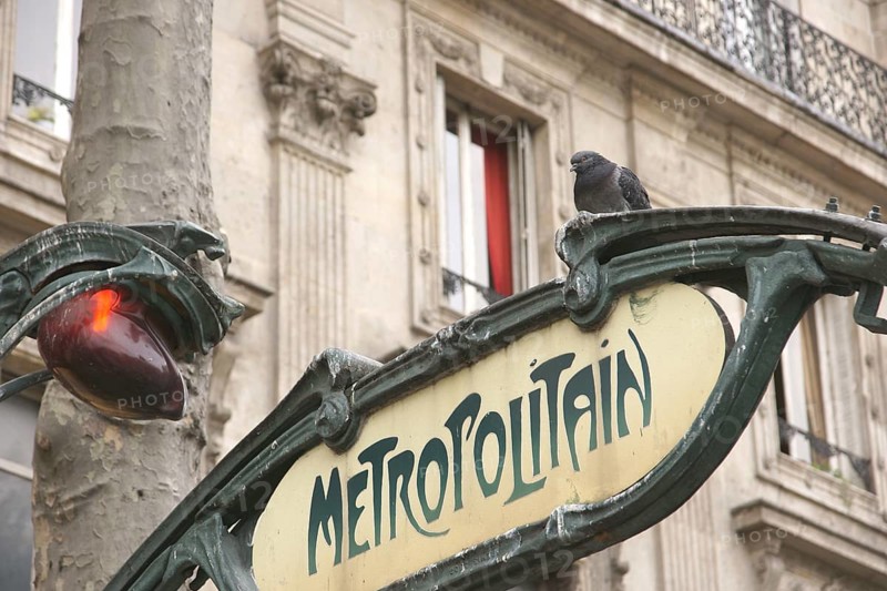 Plate, Place Saint-Michel, 6ème arrondissement, (75006), Paris, France