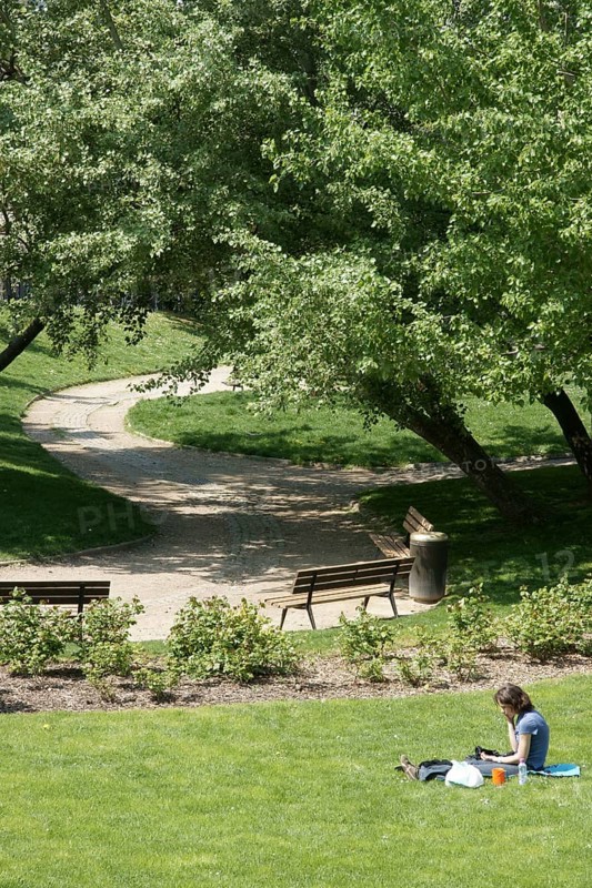 Trees, Parc des Glacières, Bolougne-Billancourt, Hauts-de-Seine (92), Ile de France, France