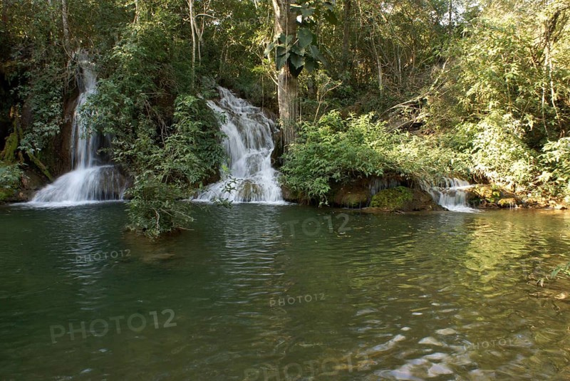 Forest, Nature, Seis Cachoeiras Park, Bonito, Mato Grosso do Sul, Brazil