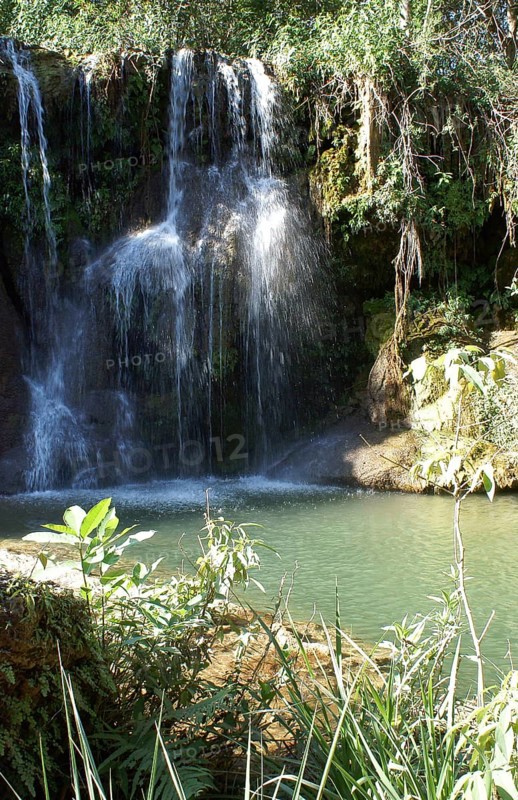 Forest, Nature, Seis Cachoeiras Park, Bonito, Mato Grosso do Sul, Brazil