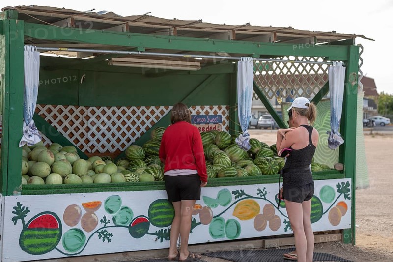 Green River, Utah - Melons from Dunham Farms for sale at a roadside stand. Green River is famous for its melons, grown at farms lining the Green River