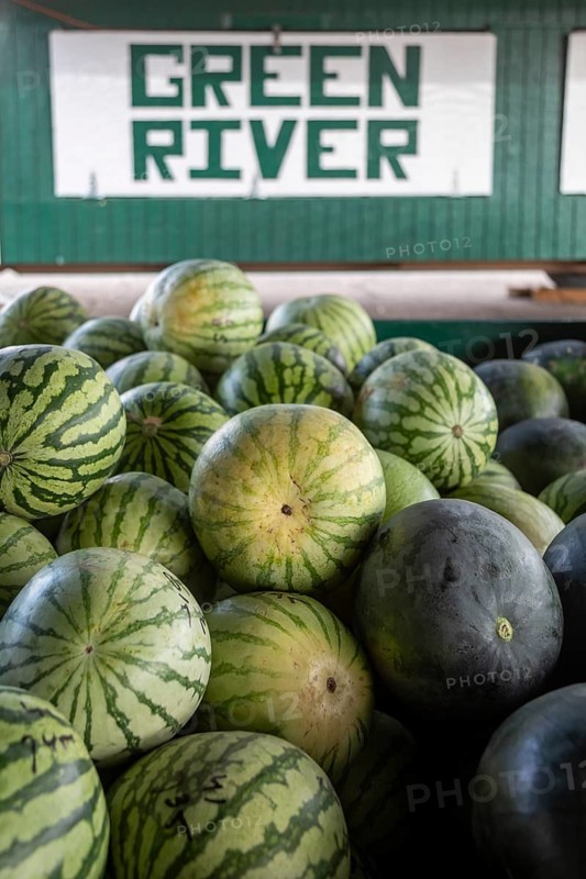 Green River, Utah - Vetere Melons for sale at a roadside stand. Green River is famous for its melons, grown at farms lining the Green River