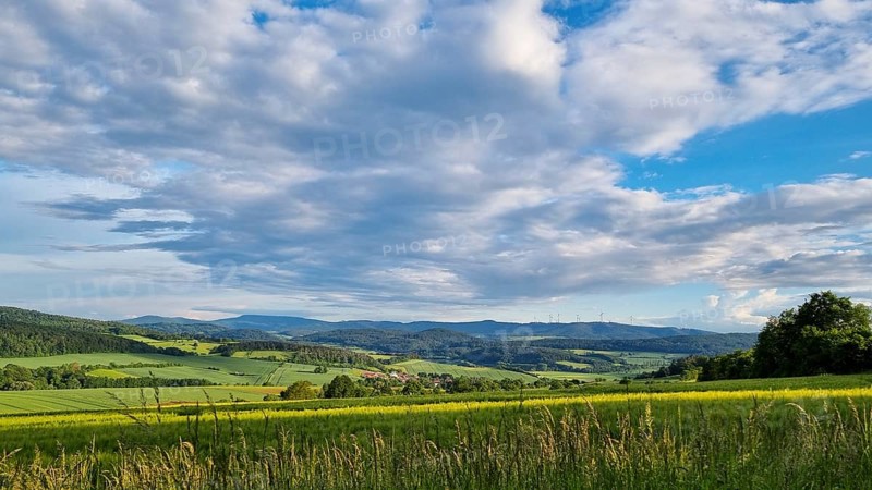 Sunny summer landscape with fields, meadows and forests (smartphone photo), Hübental, Witzenhausen, Werra-Meißner-Kreis, North Hesse, Germany