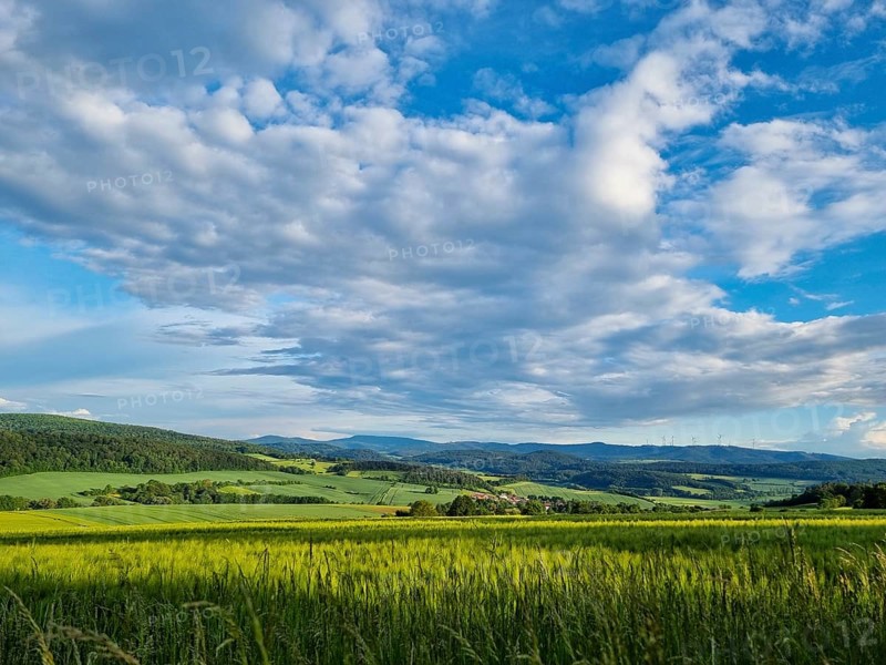 Sunny summer landscape with fields, meadows and forests (smartphone photo) . Hübental, Witzenhausen, Werra-Meißner-Kreis, North Hesse, Germany