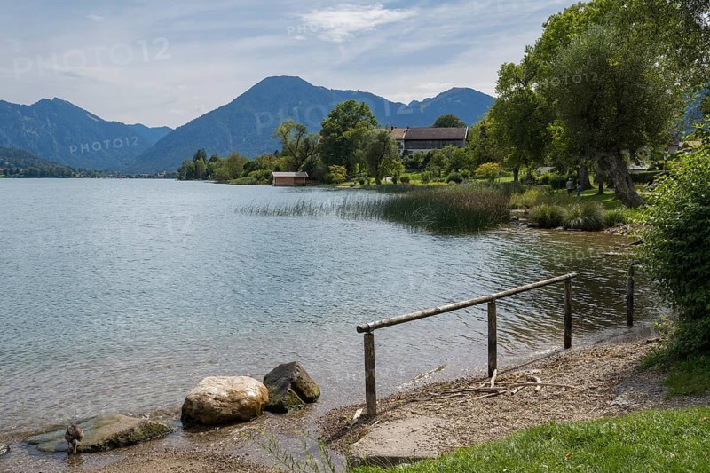 Landscape near Bad Wiessee, shore of Tegernsee, behind Rottach Egern, Upper Bavaria, Bavaria, Germany
