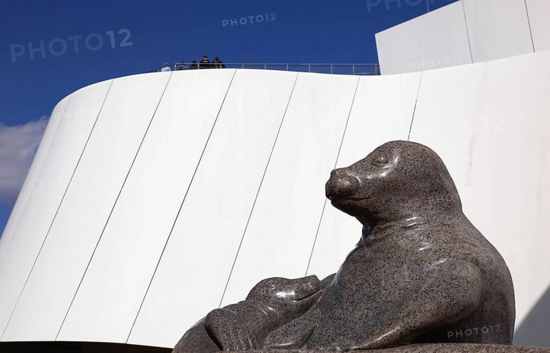 Seal, statue in front of the Ozeaneum, Stralsund Maritime Museum, Museum of Oceanography and Fisheries, Aquarium and German Maritime Museum, Stralsund, Vorpommern-Rügen district, Mecklenburg-Western Pomerania, Germany
