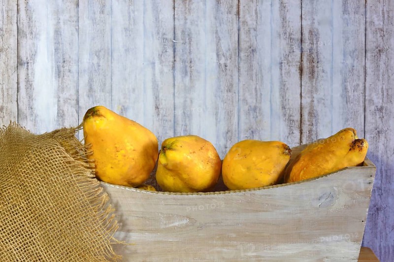 Picturesque still life with quinces, autumn, Germany