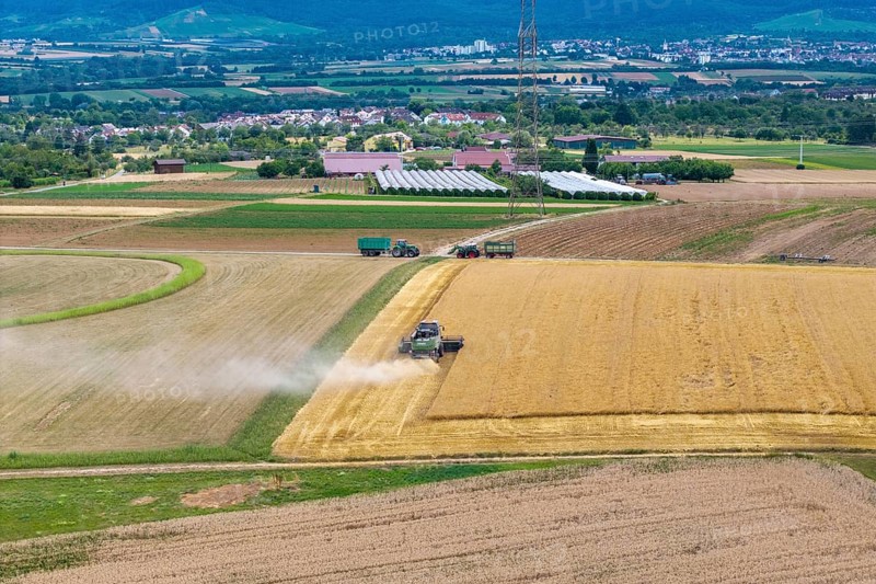 Tractors and combine harvesters harvesting in extensive fields, sunny summer landscape in the background, basket in the Rems Valley, Baden-Württemberg, Germany