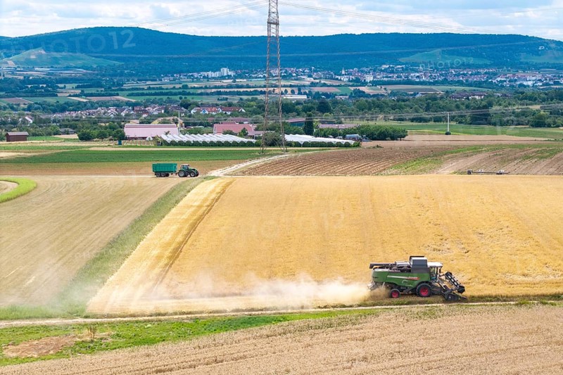 Harvester works in vast fields, clear view of adjacent landscape due to sunny weather, Mähresc Korb im Remstal, Baden-Württemberg, Germany